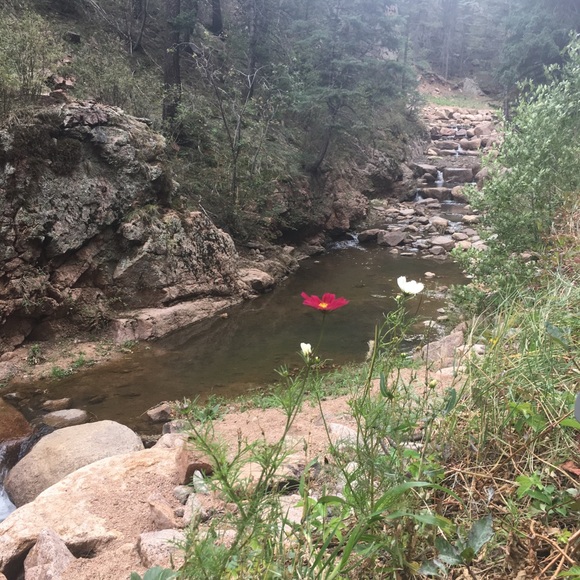 Meet your Posher, Tia - Picture 3 of 4